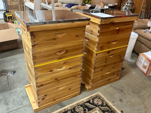 Customer photo review of BeeCastle Hives 10 Frame 4 Layer Complete Cedar Wood Beehive Kit:Designed with 2 Deep Beehive Boxes and 2 Super Bee Boxes,with Premium Wooden Frames and Beeswax Plastic Foundation