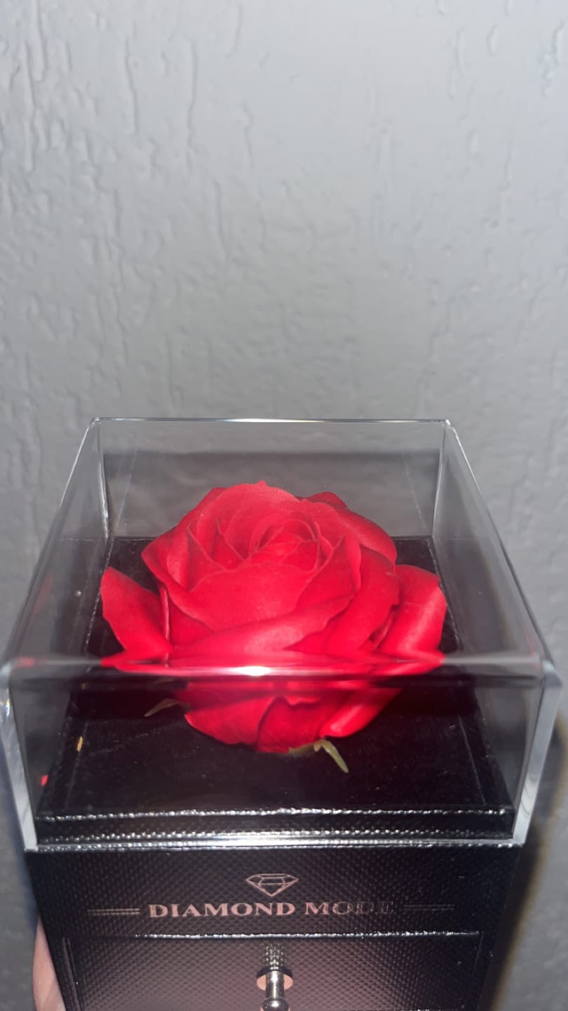 Customer photo review of Rosenbox | Geschenk Verpackung