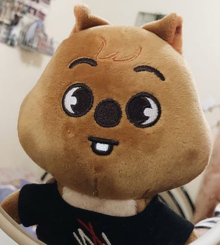 Customer photo review of Stray Kids SKZOO Plushie