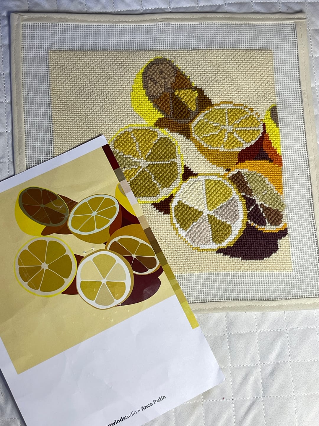 Customer photo review of Lemons Needlepoint Kit