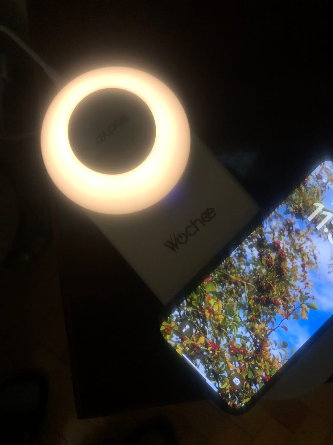 Customer photo review of Flexi Kablosuz Şarj Aleti ve Akıllı LED Lamba