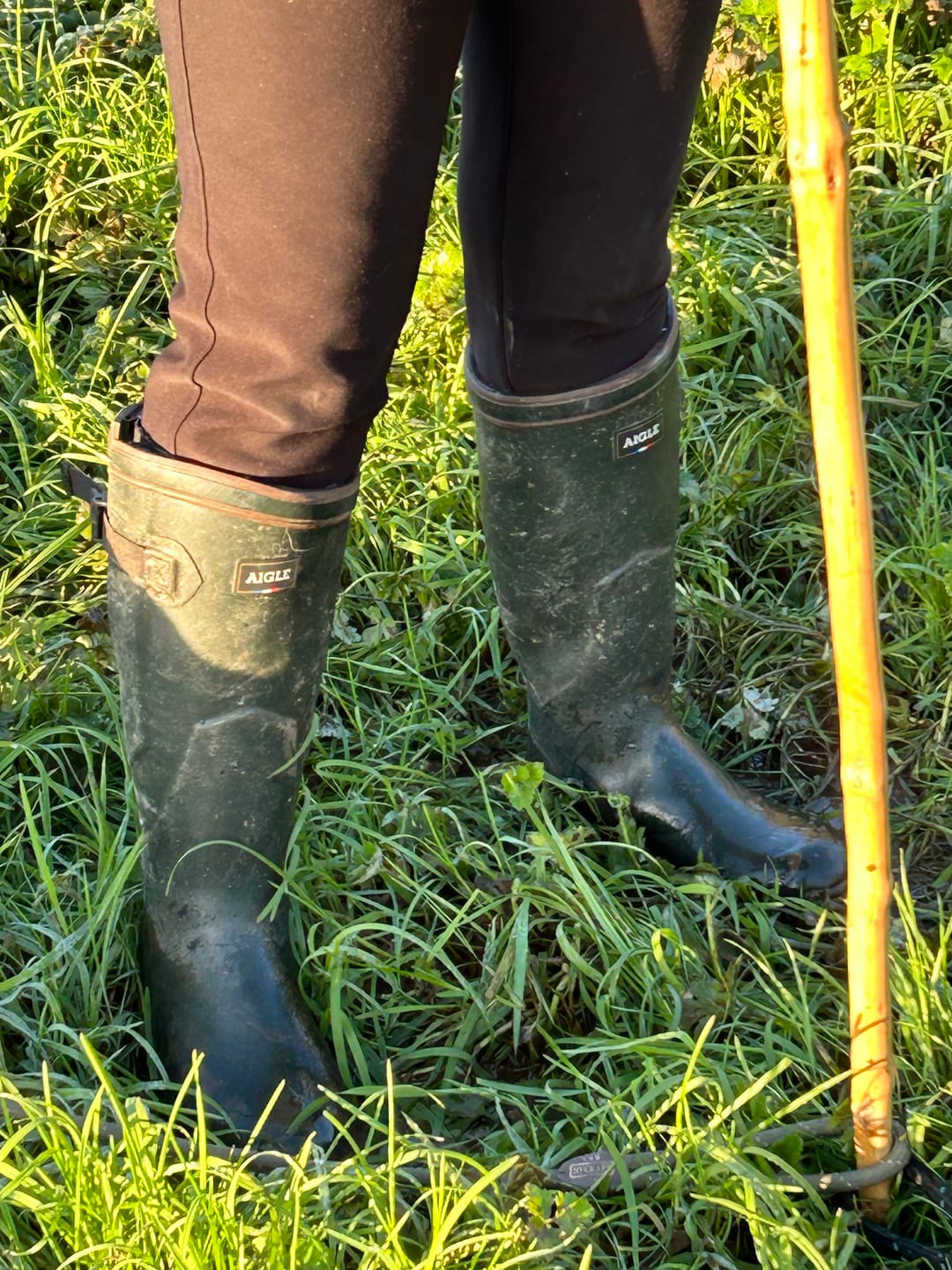Customer photo review of Aigle Parcours ISO 2 Anti Fatigue Wellingtons