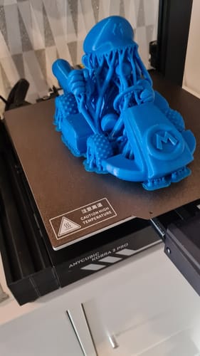 Customer photo review of Anycubic Kobra 2 Pro