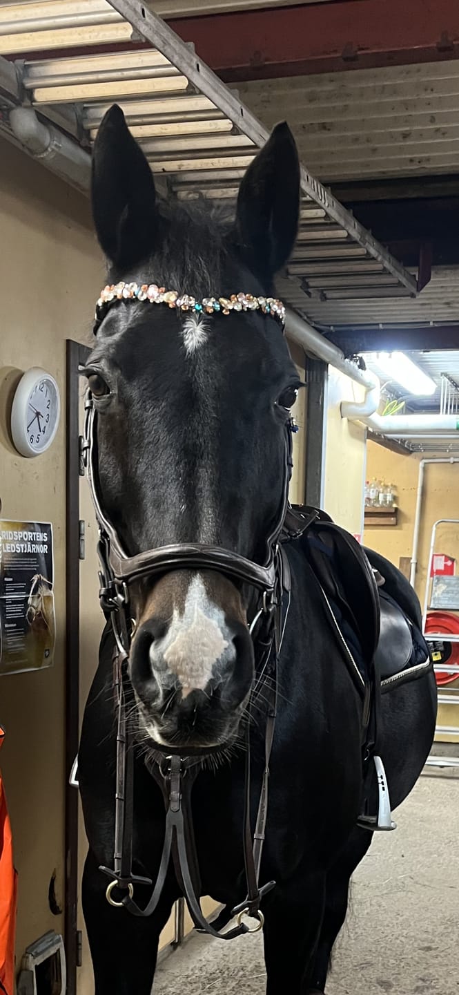 Customer photo review of Ania browband