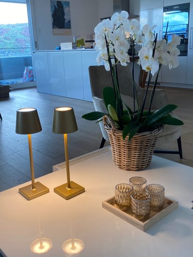 Customer photo review of Lumina LED-Tischlampe