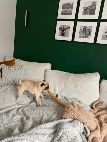 Customer photo review of 90s Vintage Actions Pack (Vol. 1)