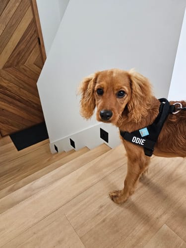 Customer photo review of Custom Name Patch