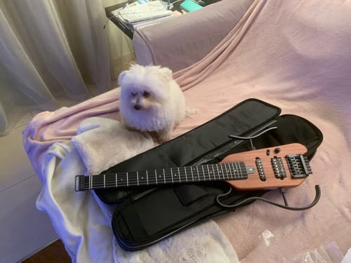 Customer photo review of Donner HUSH-X Chitarra elettrica Chitarra da viaggio ultraleggera