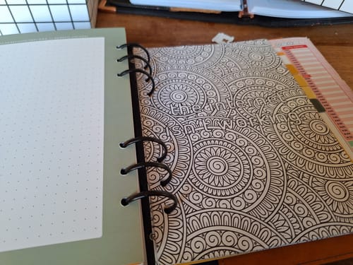 Customer photo review of Inserts - Sassy & Explicit Colouring Pack