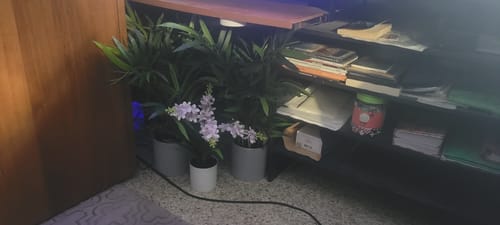 Customer photo review of Bulk 13" Artificial Potted Daffodil Flowers in Vase Bonsai Floral Arrangement Wholesale