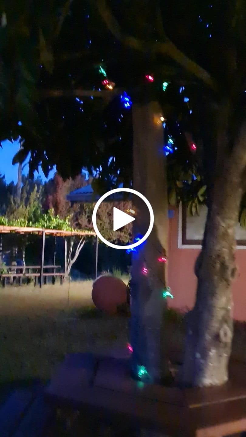 Customer video review of Colibrís Solares - IP65 Luz Cálida/Colores Largo 5 m