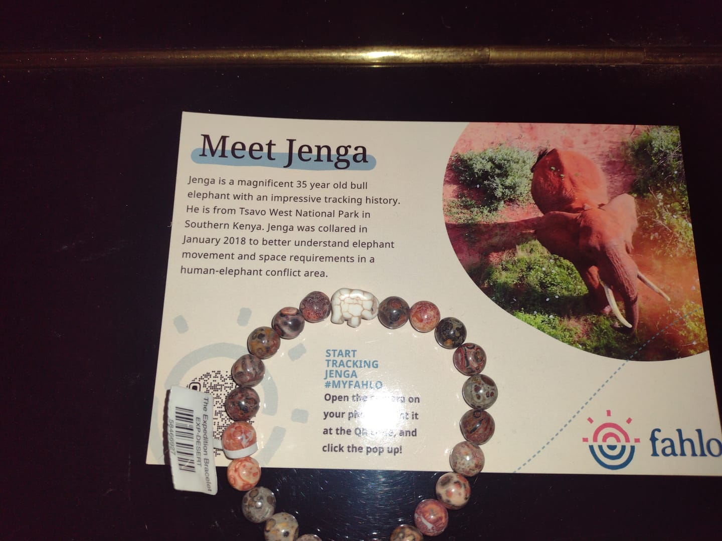 Customer photo review of The Expedition Bracelet