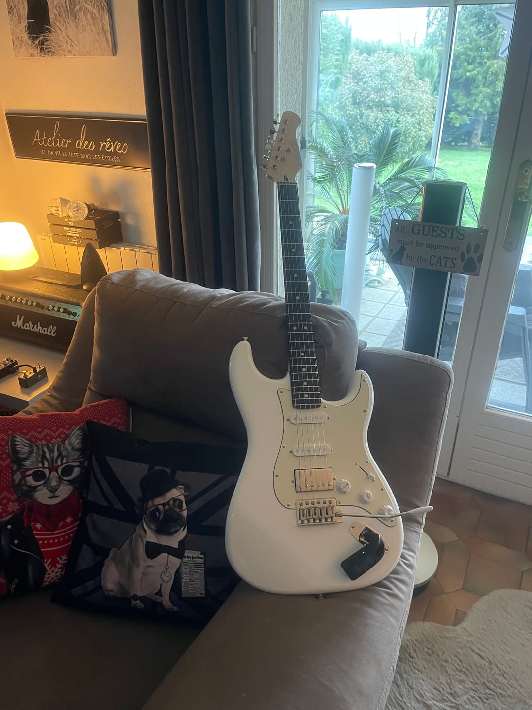 Customer photo review of Donner DST-152 Guitare électrique set débutant ST Type