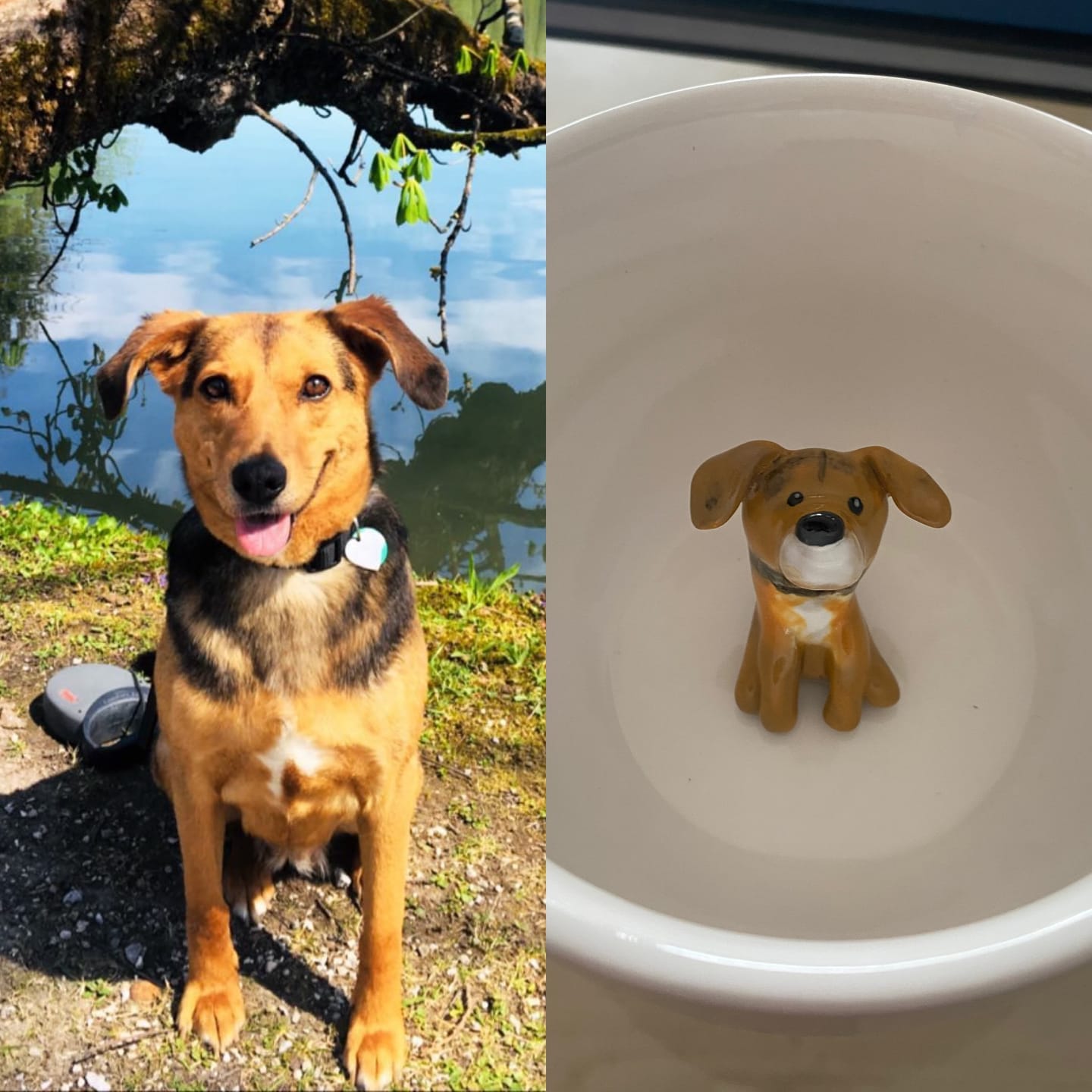 Customer photo review of Handmade Custom Pet's Figure Ceramic Mug
