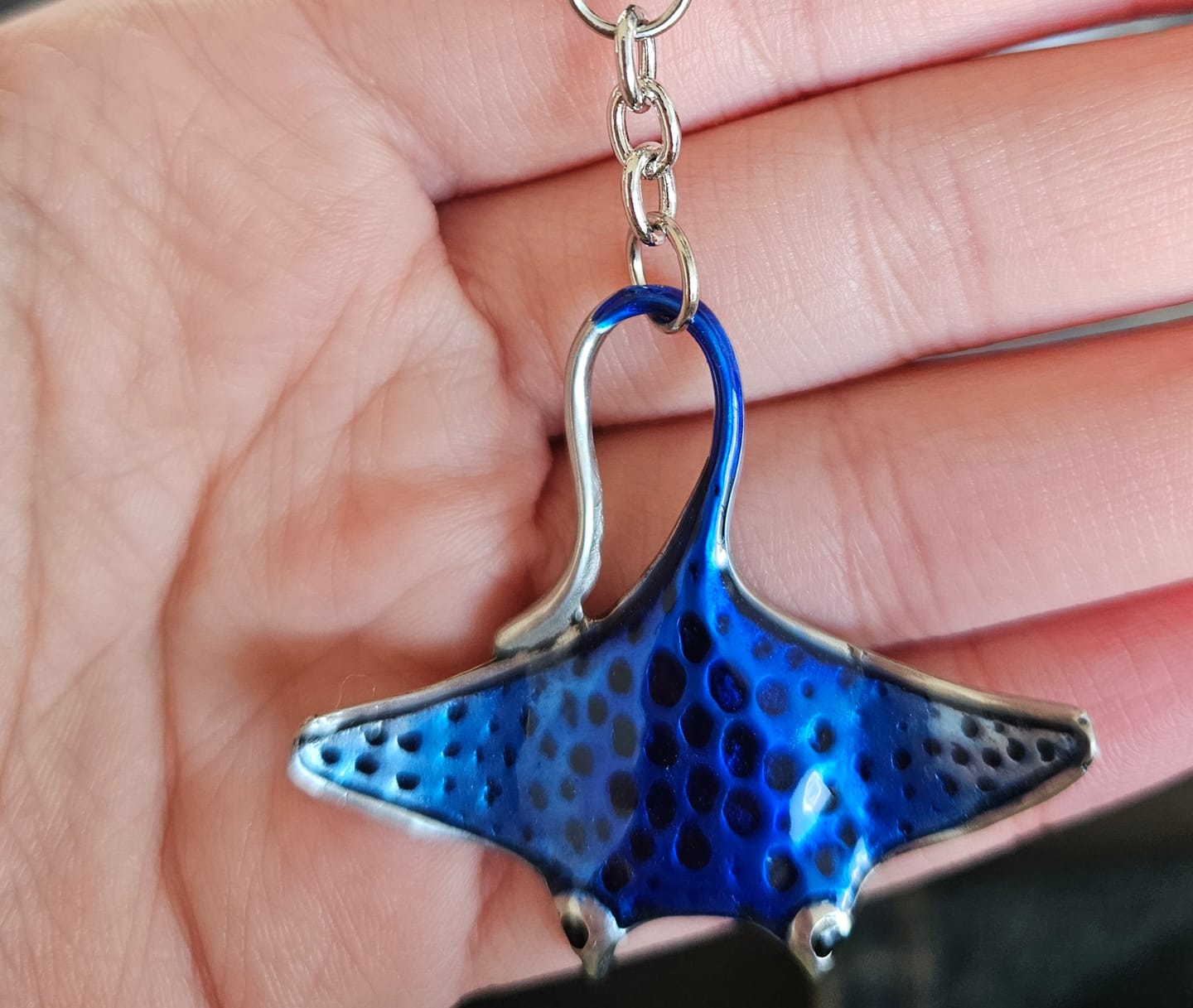 Customer photo review of Real Silver 925 key chain: Blue Manta