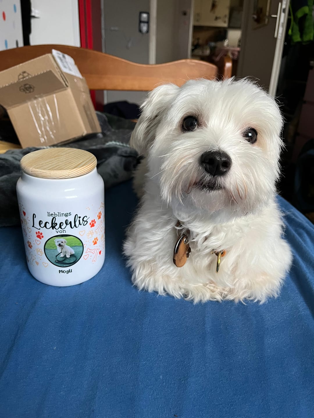 Customer photo review of Lieblings Leckerli - Individuelle Leckerlidose