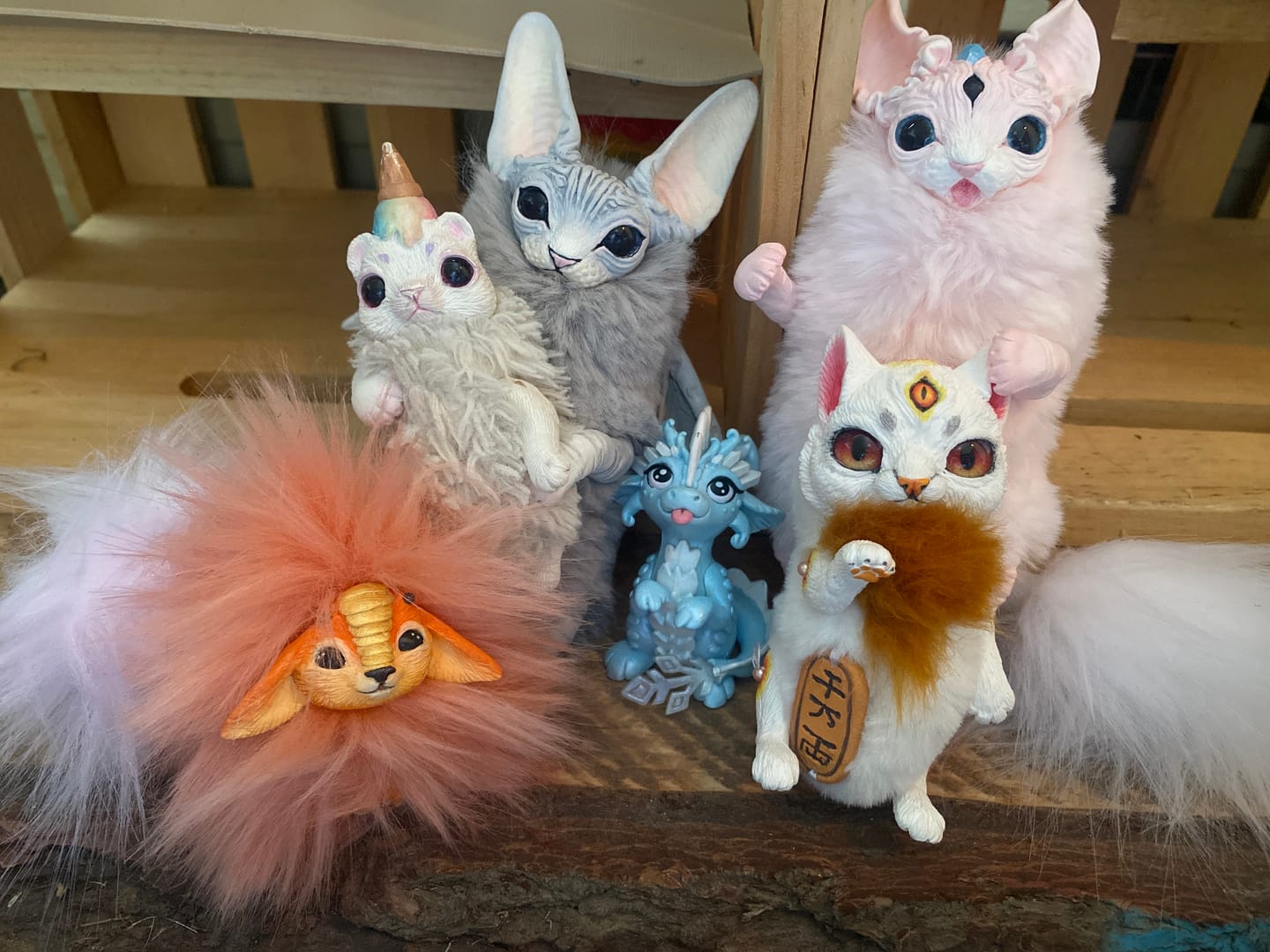 Customer photo review of Grey baby batcat