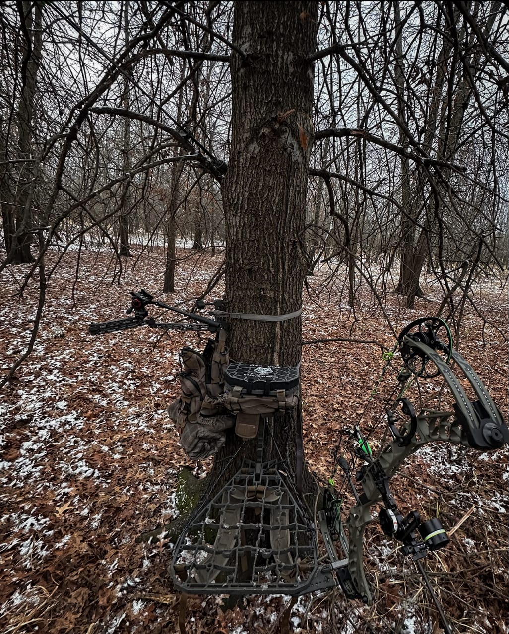 Customer photo review of D'Acquisto Series Hang-On .5 / Public Land Stand ™