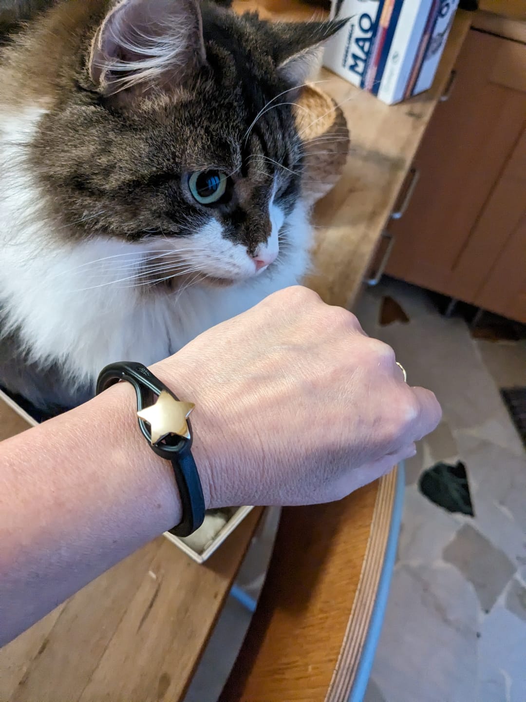 Customer photo review of Bracciale Pelle Stella Mia Oro Tulsi