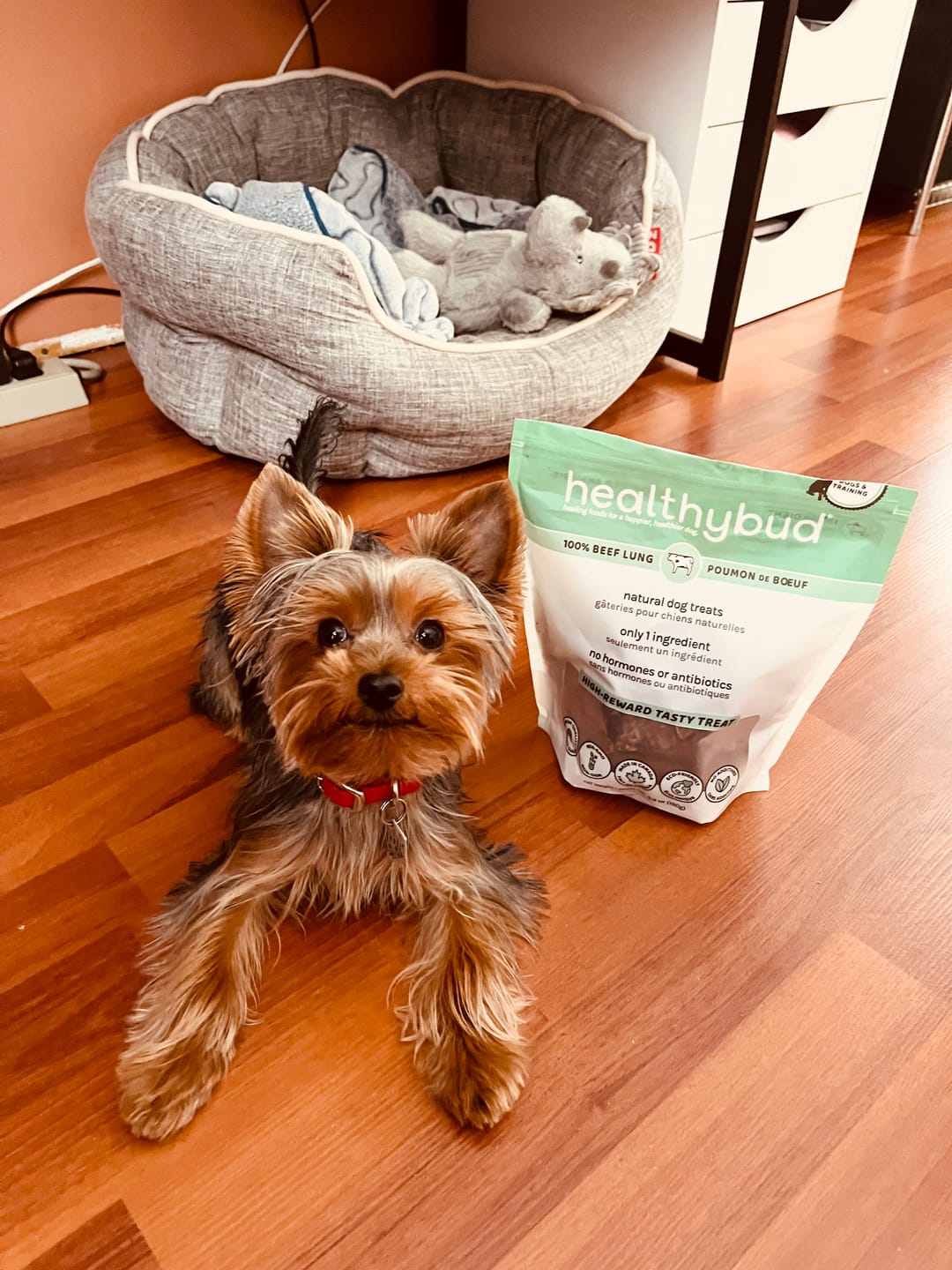 Customer photo review of Beef Lung Wafers