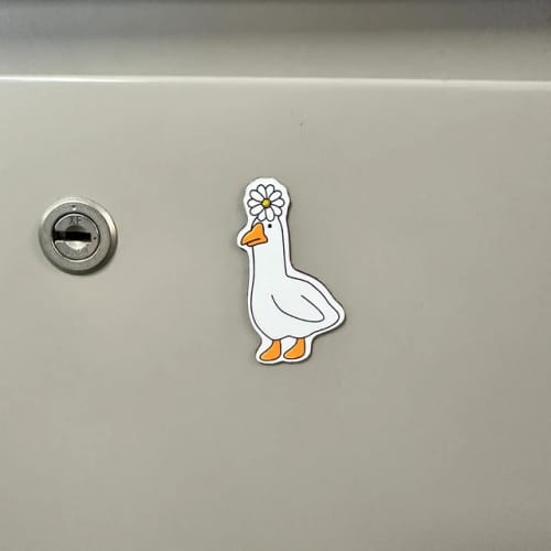 Customer photo review of Sticker Magnetici