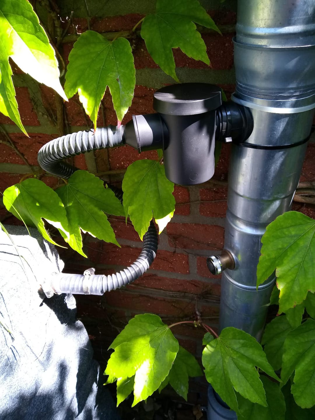 Customer photo review of YourCasa® Regensammler zum Verbinden von Fallrohr und Regentonne inklusive Filter und Bohrer. Regenrinnen Ablauf Verbinder. Regenwassersammler Fallrohr - Füllautomat für Regenwassertonne