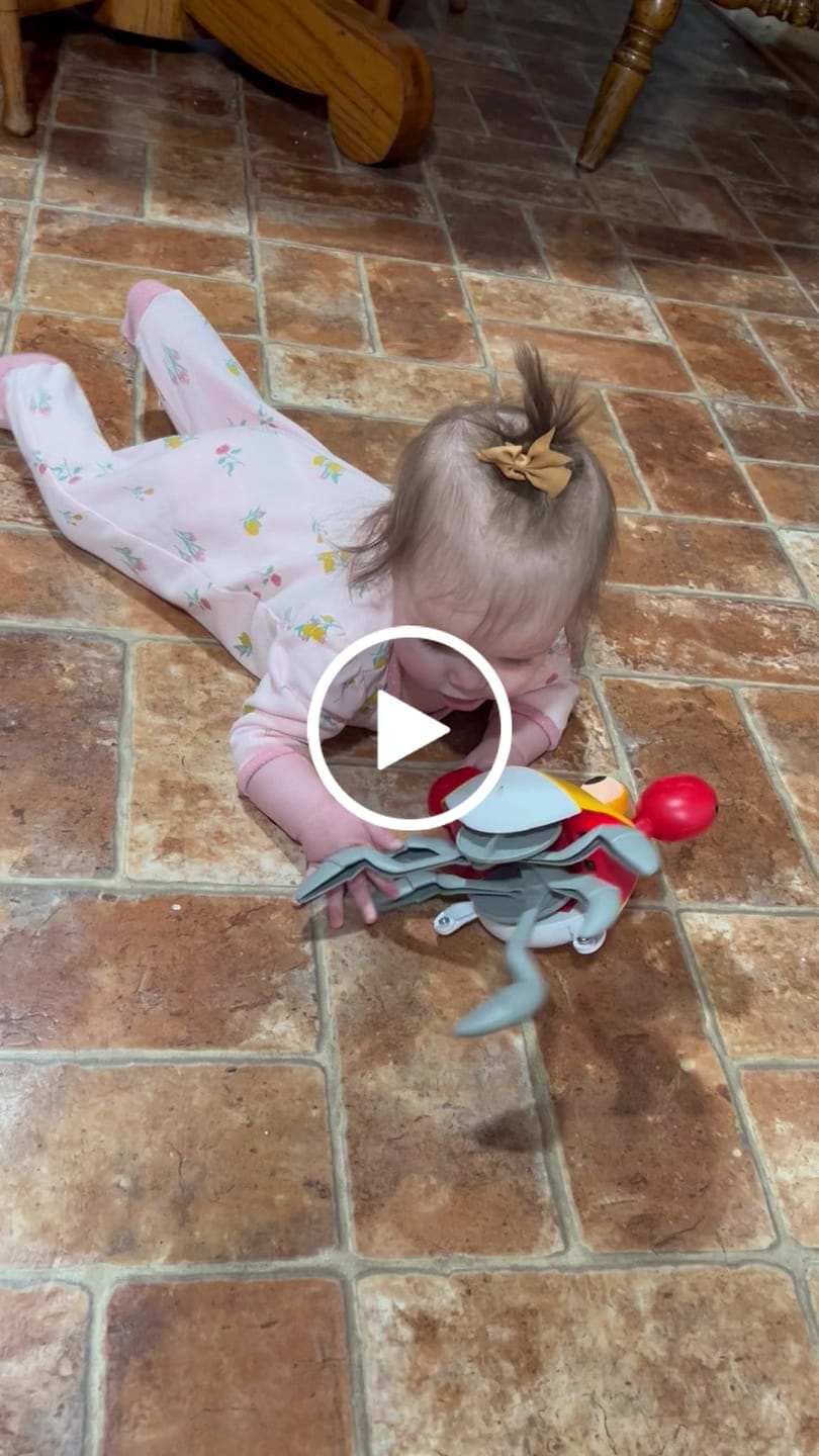 Customer video review of The Crawly Crab™
