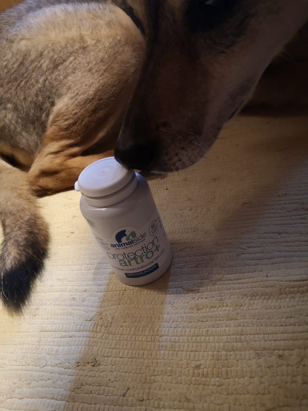Customer photo review of ProtectionArtro+