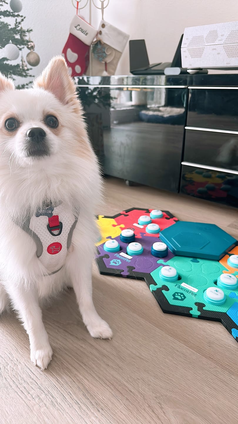 Customer photo review of Connect 6-Button Expansion Kit
