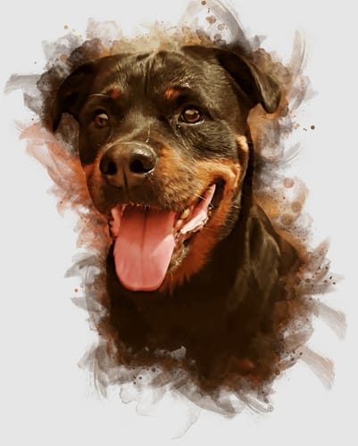 Customer photo review of Foto de tu mascota en estilo acuarela | Regalo para cachorros, perros y gatos