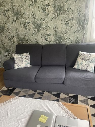 Customer photo review of Stretch Sofa Covers with Separate Backrests and Seat Cushions