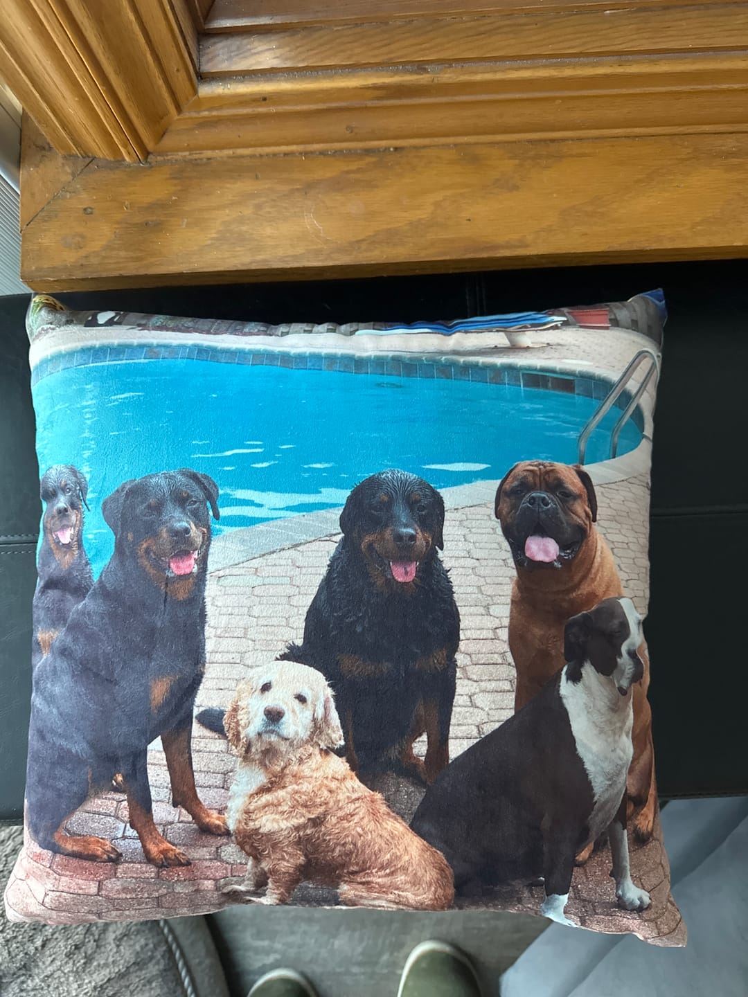 Customer photo review of Custom Photo Pillow with Your Dog Photos, Print Pet Photo on Pillow