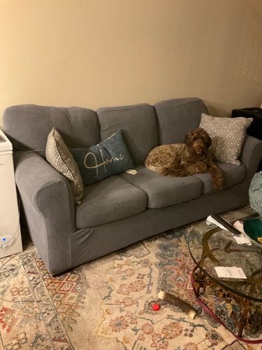 Customer photo review of Stretch Sofa Covers with Separate Backrests and Seat Cushions