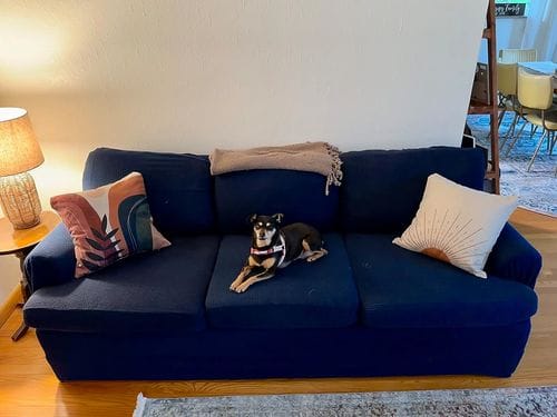 Customer photo review of Stretch Sofa Covers with Separate Backrests and Seat Cushions