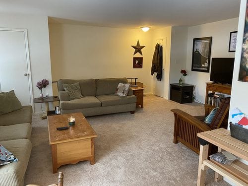 Customer photo review of Stretch Sofa Covers with Separate Backrests and Seat Cushions