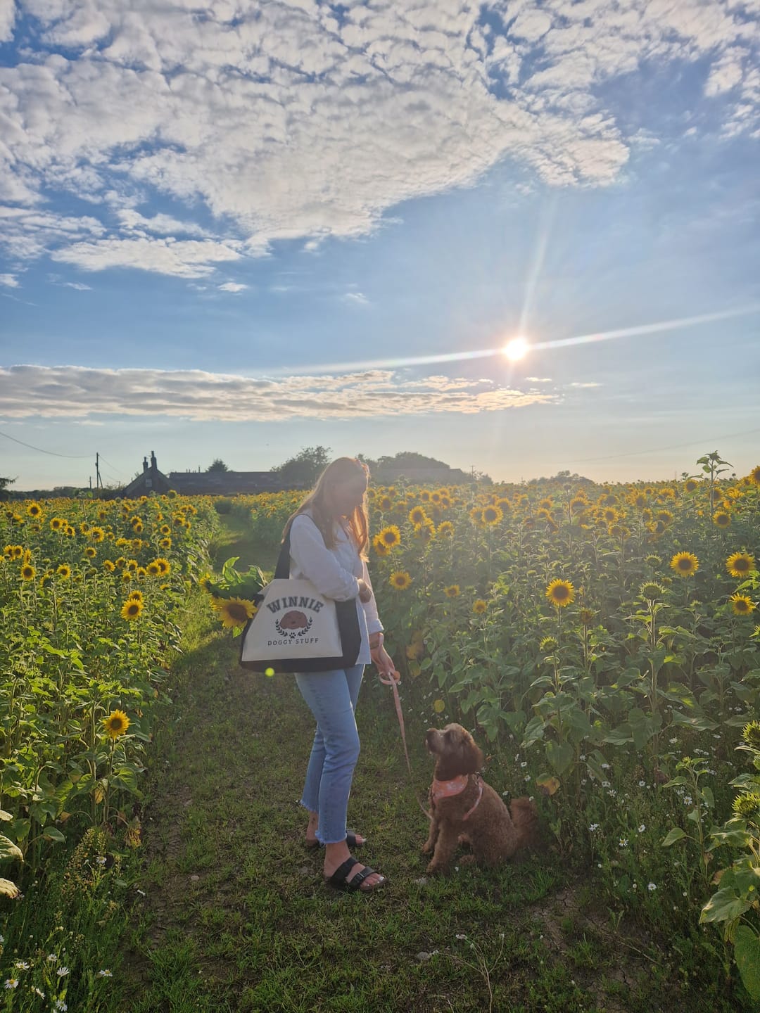 Customer photo review of Ulti-MUTT Dog Jute bag