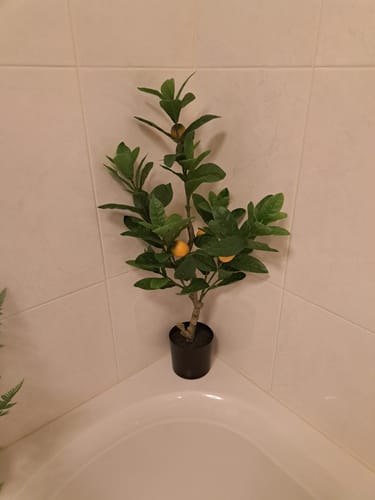 Customer photo review of Kunst Citroenboom 75cm
