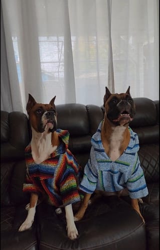 Customer photo review of Playa Poncho - Surprise Color