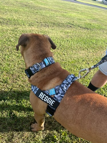 Customer photo review of Dog Lovers Pack