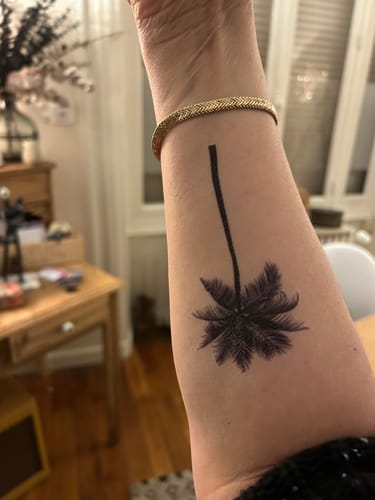 Customer photo review of Palmiers ( 3 pièces )