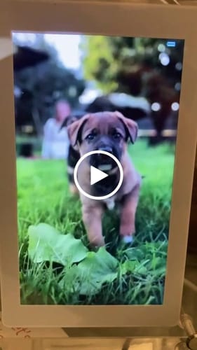 Customer video review of TimelessTales Frame