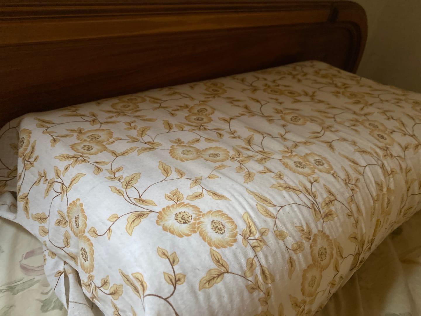 Customer photo review of Premium Latex Pillow