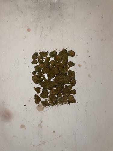 Customer photo review of Amnesia Haze - 13 % Cannabinoide (5% D9THCP)