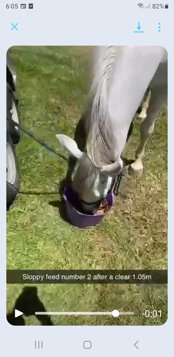 Customer photo review of EquiBind