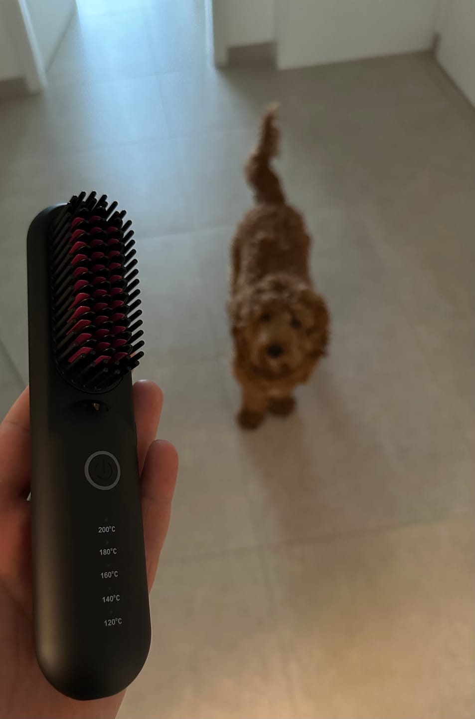 Customer photo review of Whipl™ Go! - tragbare Glättungsbürste