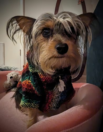 Customer photo review of Playa Poncho - Surprise Color