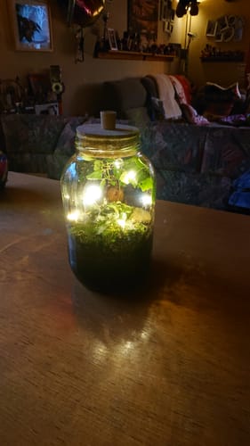 Customer photo review of Karline und der Flaschengarten - Kinderbuch und Flaschengarten