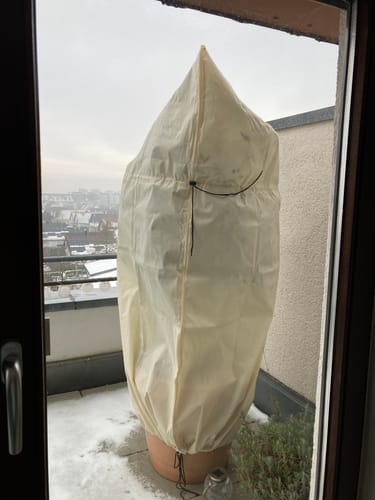 Customer photo review of Winterschutz für Kübelpflanzen XXL H 180 x B 120 cm Ø 76 cm