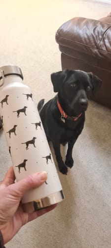 Customer photo review of Black Labrador Water Bottle
