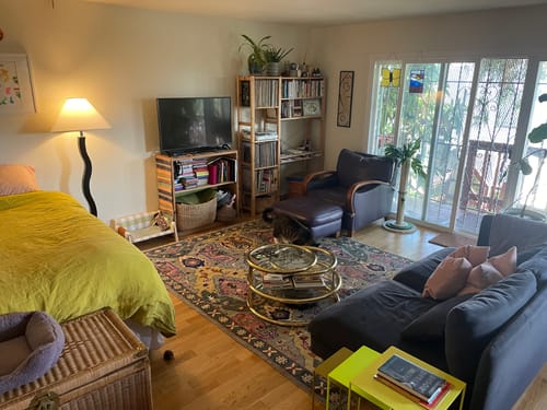 Customer photo review of Modern Persian Rug Hand knotted 8x10, 9x12, 10x14 and 12x15 All Wool Green, Pink and Gold Traditional Antique Oushak Area Rug | TRDCP872